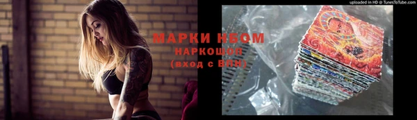 прущие грибы Алексин
