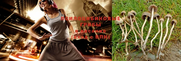 каннабис Алексеевка