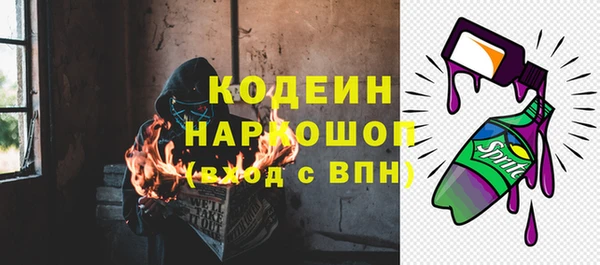 сатива Няндома